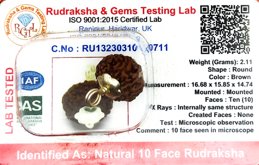 10 Mukhi Rudraksha (Certified)