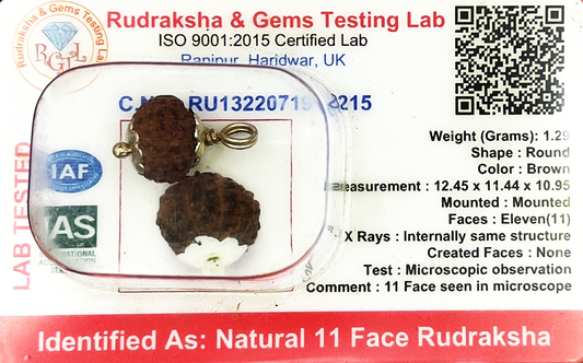 11 Mukhi Rudraksha (Certified)