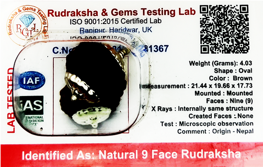 9 Mukhi Nepali Rudraksha (Certified)