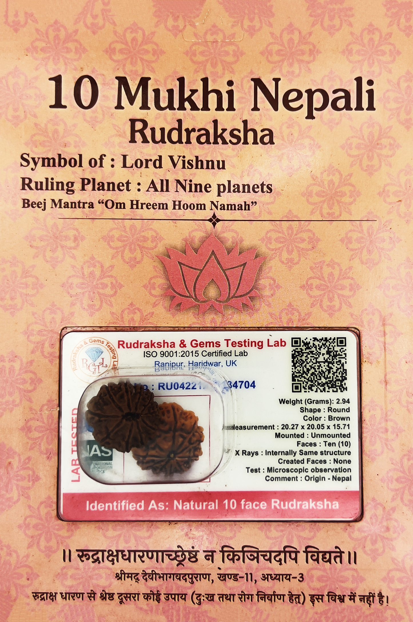 10 Mukhi Nepali Rudraksha (Certified)