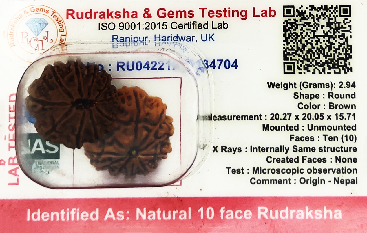 10 Mukhi Nepali Rudraksha (Certified)