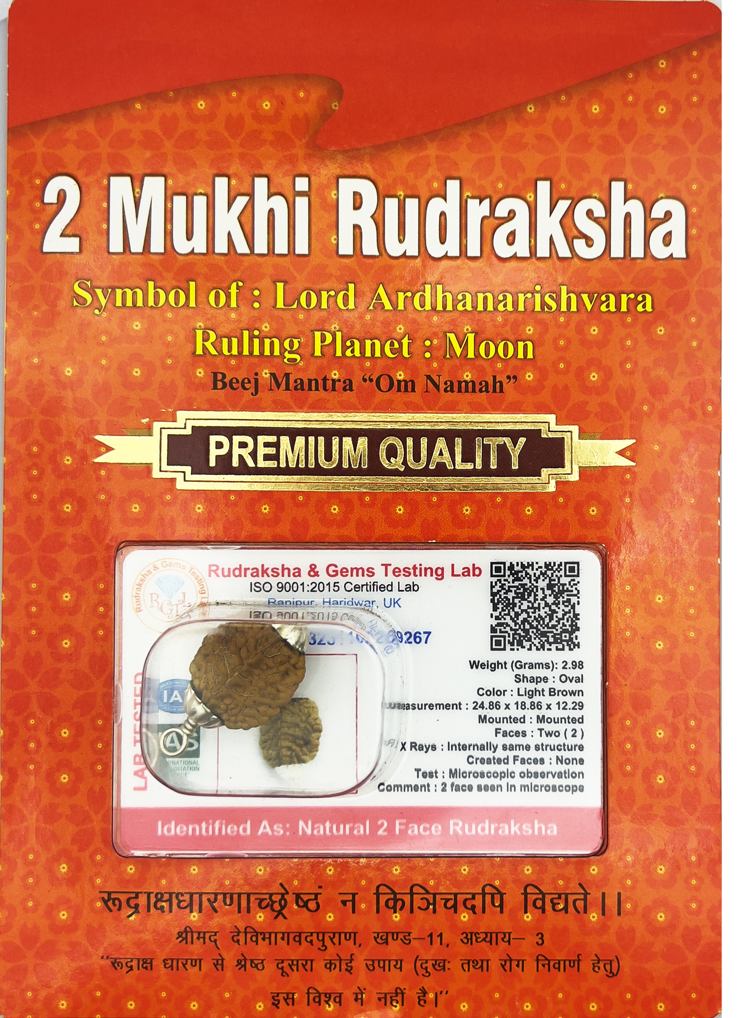 2 Mukhi Rudraksha (Certified)