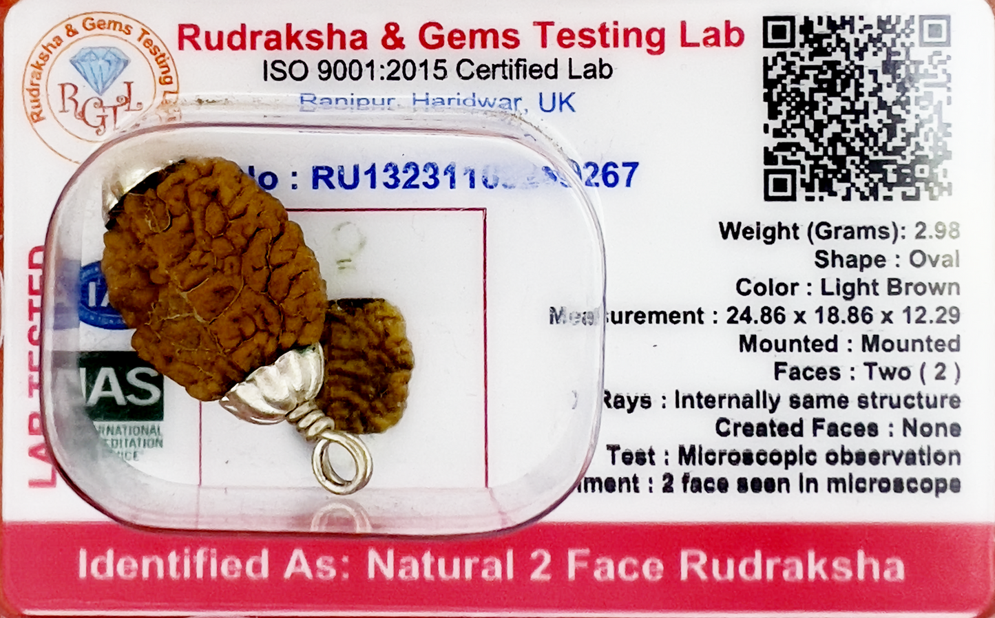 2 Mukhi Rudraksha (Certified)