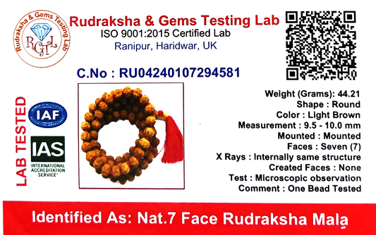 7 Mukhi Rudraksha Mala (Certified)