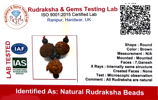 Rudraksha Business Shakti (Certified)