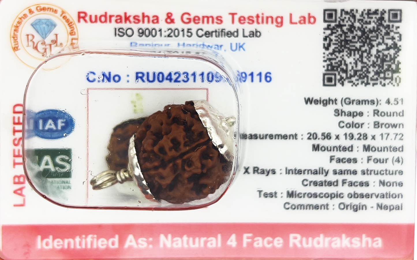 4 Mukhi Rudraksha (Indonesian,Certified)