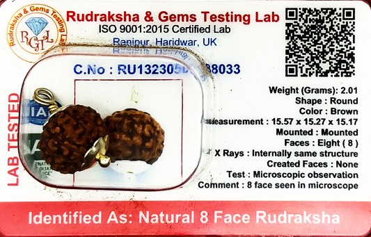 8 Mukhi Rudraksha (Indonesian)