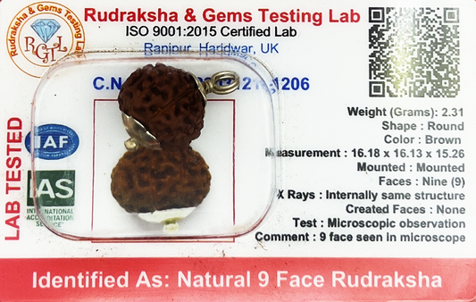 9 Mukhi Rudraksha (Indonesian)